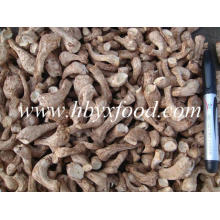 Wholesale Price Premium Spawn Shiitake Leg Dried Healthy Food